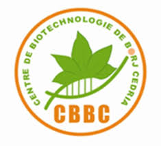 CBBC logo